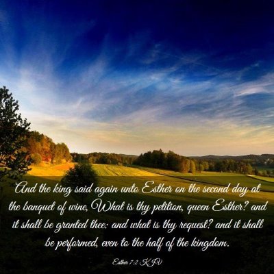 Picture 03 - Esther 7:2 KJV - And the king said again unto Esther on the second - Bible Verse Picture