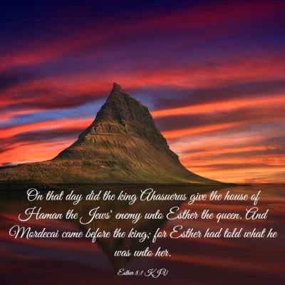 Picture 03 - Esther 8:1 KJV - On that day did the king Ahasuerus give the house - Bible Verse Picture