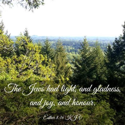 Picture 03 - Esther 8:16 KJV - The Jews had light, and gladness, and joy, and - Bible Verse Picture
