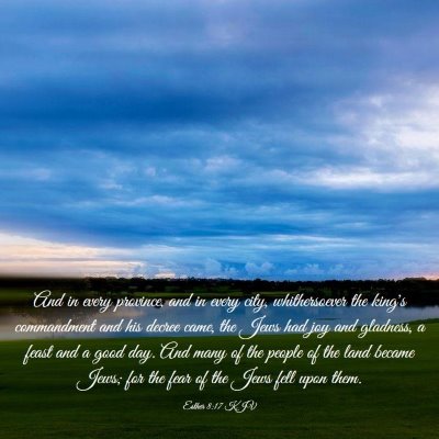 Picture 03 - Esther 8:17 KJV - And in every province, and in every city, - Bible Verse Picture