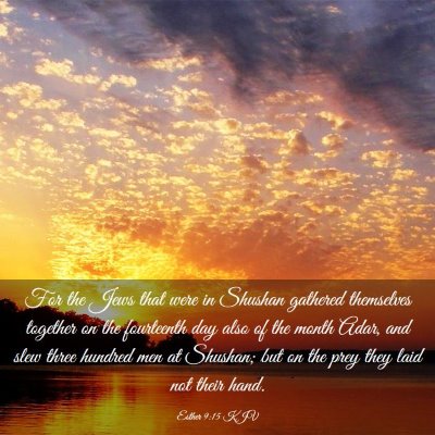 Picture 03 - Esther 9:15 KJV - For the Jews that were in Shushan gathered - Bible Verse Picture