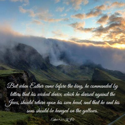 Picture 03 - Esther 9:25 KJV - But when Esther came before the king, he - Bible Verse Picture