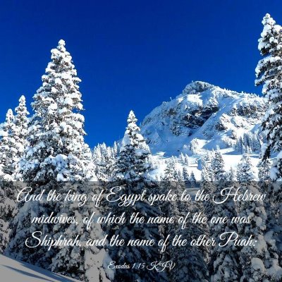 Picture 03 - Exodus 1:15 KJV - And the king of Egypt spake to the Hebrew - Bible Verse Picture
