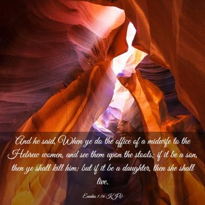 Picture 03 - Exodus 1:16 KJV - And he said, When ye do the office of a midwife - Bible Verse Picture