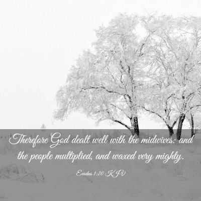 Picture 03 - Exodus 1:20 KJV - Therefore God dealt well with the midwives: and - Bible Verse Picture