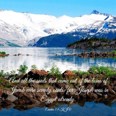 Picture 03 - Exodus 1:5 KJV - And all the souls that came out of the loins of - Bible Verse Picture