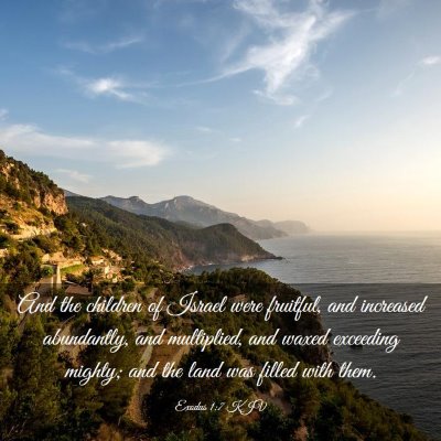 Picture 03 - Exodus 1:7 KJV - And the children of Israel were fruitful, and - Bible Verse Picture