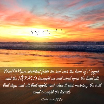 Picture 03 - Exodus 10:13 KJV - And Moses stretched forth his rod over the land - Bible Verse Picture