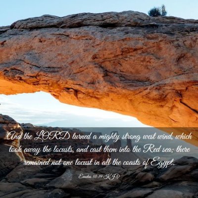 Picture 03 - Exodus 10:19 KJV - And the LORD turned a mighty strong west wind, - Bible Verse Picture