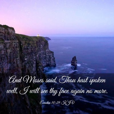 Picture 03 - Exodus 10:29 KJV - And Moses said, Thou hast spoken well, I will see - Bible Verse Picture