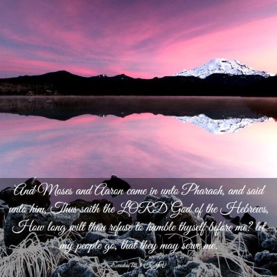 Picture 03 - Exodus 10:3 KJV - And Moses and Aaron came in unto Pharaoh, and - Bible Verse Picture