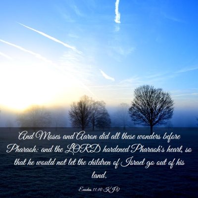Picture 03 - Exodus 11:10 KJV - And Moses and Aaron did all these wonders before - Bible Verse Picture