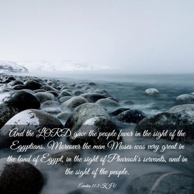 Picture 03 - Exodus 11:3 KJV - And the LORD gave the people favor in the sight - Bible Verse Picture
