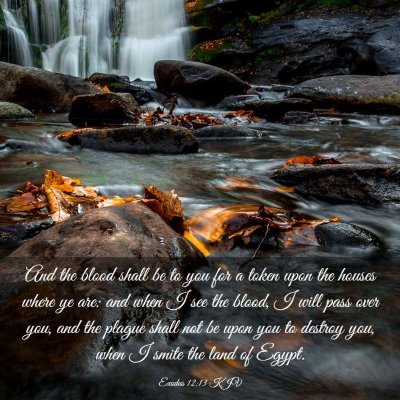 Picture 03 - Exodus 12:13 KJV - And the blood shall be to you for a token upon - Bible Verse Picture
