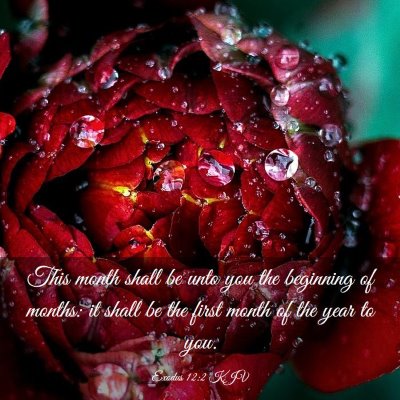 Picture 03 - Exodus 12:2 KJV - This month shall be unto you the beginning of - Bible Verse Picture