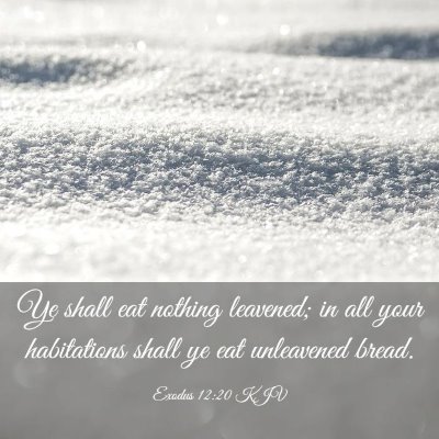 Picture 03 - Exodus 12:20 KJV - Ye shall eat nothing leavened; in all your - Bible Verse Picture