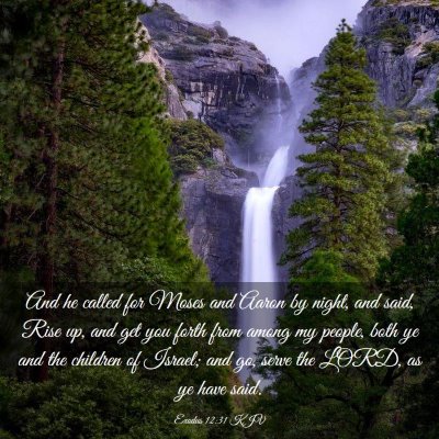 Picture 03 - Exodus 12:31 KJV - And he called for Moses and Aaron by night, and - Bible Verse Picture