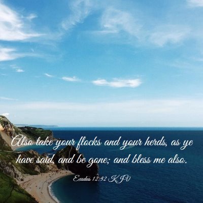 Picture 03 - Exodus 12:32 KJV - Also take your flocks and your herds, as ye have - Bible Verse Picture