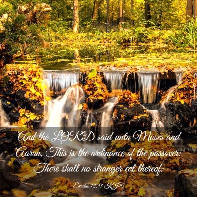 Picture 03 - Exodus 12:43 KJV - And the LORD said unto Moses and Aaron, This is - Bible Verse Picture