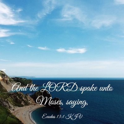 Picture 03 - Exodus 13:1 KJV - And the LORD spake unto Moses, - Bible Verse Picture