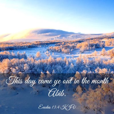 Picture 03 - Exodus 13:4 KJV - This day came ye out in the month - Bible Verse Picture