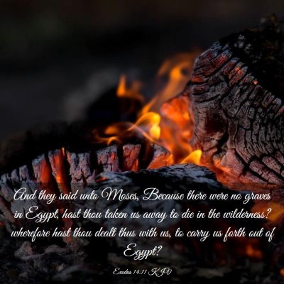 Picture 03 - Exodus 14:11 KJV - And they said unto Moses, Because there were no - Bible Verse Picture
