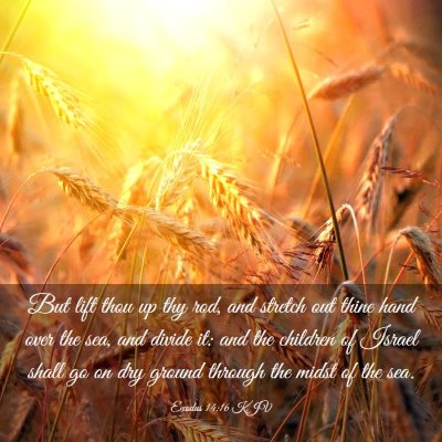 Picture 03 - Exodus 14:16 KJV - But lift thou up thy rod, and stretch out thine - Bible Verse Picture