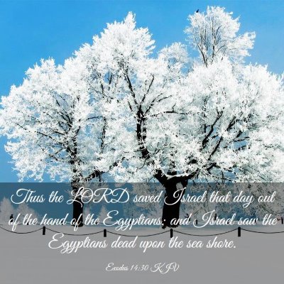 Picture 03 - Exodus 14:30 KJV - Thus the LORD saved Israel that day out of the - Bible Verse Picture