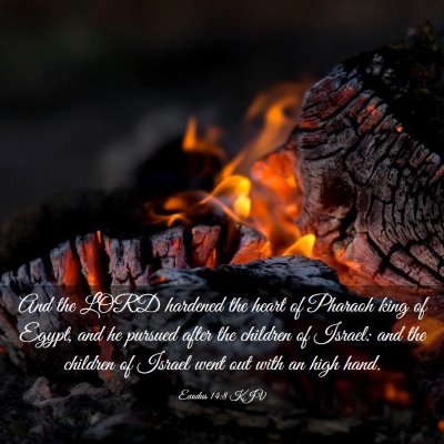 Picture 03 - Exodus 14:8 KJV - And the LORD hardened the heart of Pharaoh king - Bible Verse Picture