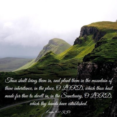 Picture 03 - Exodus 15:17 KJV - Thou shalt bring them in, and plant them in the - Bible Verse Picture
