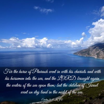 Picture 03 - Exodus 15:19 KJV - For the horse of Pharaoh went in with his - Bible Verse Picture