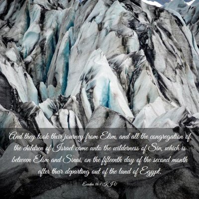 Picture 03 - Exodus 16:1 KJV - And they took their journey from Elim, and all - Bible Verse Picture
