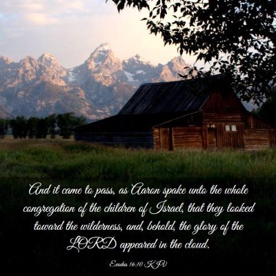 Picture 03 - Exodus 16:10 KJV - And it came to pass, as Aaron spake unto the - Bible Verse Picture
