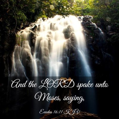 Picture 03 - Exodus 16:11 KJV - And the LORD spake unto Moses, - Bible Verse Picture