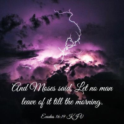 Picture 03 - Exodus 16:19 KJV - And Moses said, Let no man leave of it till the - Bible Verse Picture