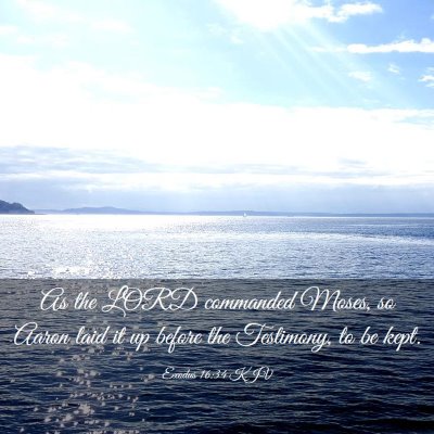 Picture 03 - Exodus 16:34 KJV - As the LORD commanded Moses, so Aaron laid it up - Bible Verse Picture