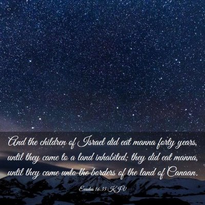 Picture 03 - Exodus 16:35 KJV - And the children of Israel did eat manna forty - Bible Verse Picture