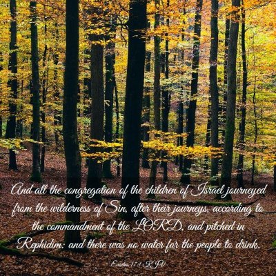 Picture 03 - Exodus 17:1 KJV - And all the congregation of the children of - Bible Verse Picture