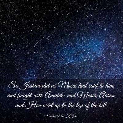 Picture 03 - Exodus 17:10 KJV - So Joshua did as Moses had said to him, and - Bible Verse Picture