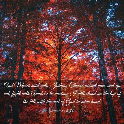 Picture 03 - Exodus 17:9 KJV - And Moses said unto Joshua, Choose us out men, - Bible Verse Picture