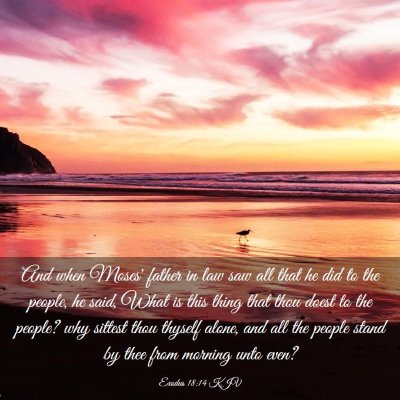 Picture 03 - Exodus 18:14 KJV - And when Moses' father in law saw all that he did - Bible Verse Picture