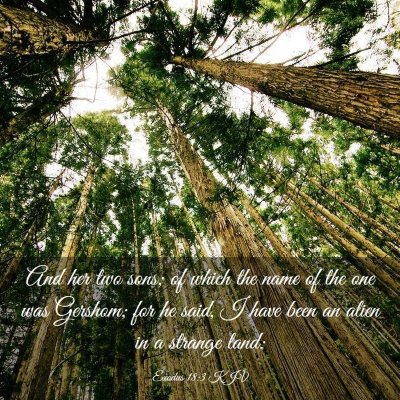 Picture 03 - Exodus 18:3 KJV - And her two sons; of which the name of the one - Bible Verse Picture