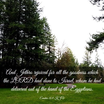 Picture 03 - Exodus 18:9 KJV - And Jethro rejoiced for all the goodness which - Bible Verse Picture