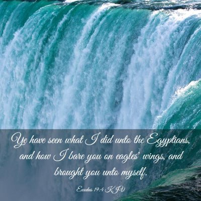 Picture 03 - Exodus 19:4 KJV - Ye have seen what I did unto the Egyptians, and - Bible Verse Picture