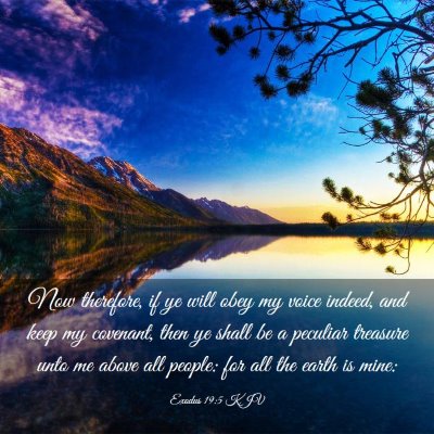 Picture 03 - Exodus 19:5 KJV - Now therefore, if ye will obey my voice indeed, - Bible Verse Picture