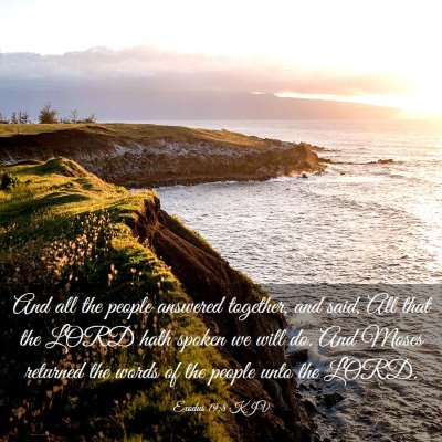Picture 03 - Exodus 19:8 KJV - And all the people answered together, and said, - Bible Verse Picture