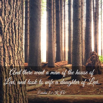 Picture 03 - Exodus 2:1 KJV - And there went a man of the house of Levi, and - Bible Verse Picture
