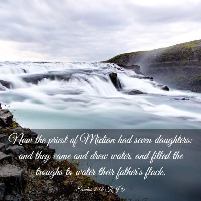 Picture 03 - Exodus 2:16 KJV - Now the priest of Midian had seven daughters: and - Bible Verse Picture