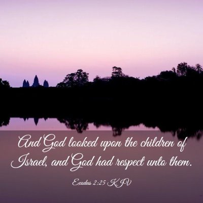 Picture 03 - Exodus 2:25 KJV - And God looked upon the children of Israel, and - Bible Verse Picture