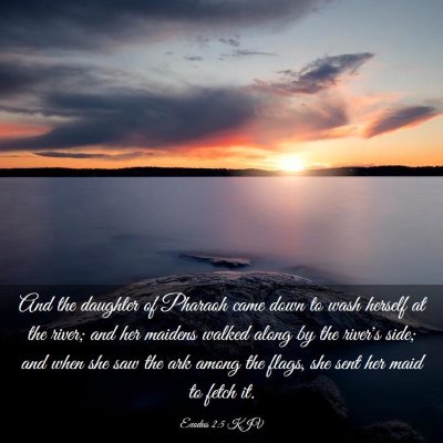 Picture 03 - Exodus 2:5 KJV - And the daughter of Pharaoh came down to wash - Bible Verse Picture